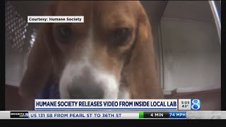 Humane Society releases video from inside local lab