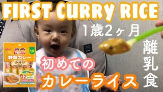 【赤ちゃん 1歳2ヶ月】離乳食 / はじめてのカレーライス / グリコ ベビーフード【成長記録】