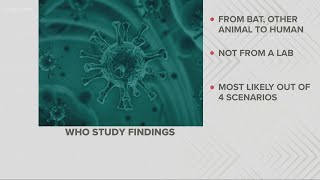 COVID likely 1st jumped into humans from animals: WHO Report