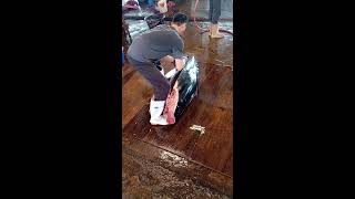 GIANT BLUEFIN TUNA cutting Master