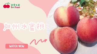 【超夯 ❘ 美國加州進口水蜜桃 ❘ 爆汁超多水分 ❘ 甜蜜幸福的滋味💗】