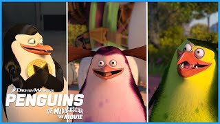 Funniest Penguin Moments | DreamWorks Madagascar