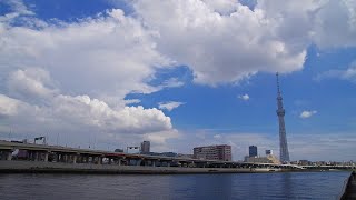 東京スカイツリー　夏雲　入道　雲の流れ　青い空　2021 7.15　隅田川　オーケー 橋場店　橋場 老人福祉館　台東区　橋場テラス