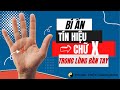 🔴 Bí Ẩn Chữ X Trong Lòng Bàn Tay | Sai Lầm Thường Gặp Khi Xem Chỉ Tay | Phong Thủy Quảng Minh