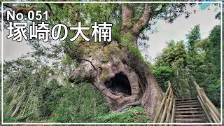 No.051 塚崎の大楠 (鹿児島県肝属郡肝付町)