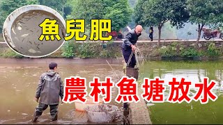 幾年沒清魚塘了，英子爸爸羨慕魚兒肥，農村建個魚塘要花多少錢？【小英子和小萍子】