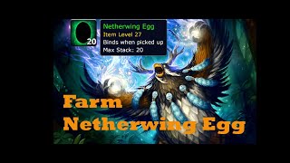 Farm Netherwing Egg