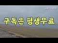 바닷가 소나무 그늘 무료 노지 차박 숨겨진 최고의 바다뷰 캠핑 절대 놓치지 마세요 korea camping channel.