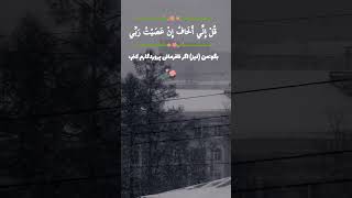 🔹️آیه ۱۵ سوره انعام🔹️قاری:محمد صدیق منشاوی 🔸️ترجمه فارسی از مکارم شیرازی #الله #allah #قرآن #quran