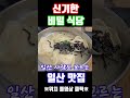 일산 사람도 모르는 일산 맛집 신기한 비밀식당 소개 합니다