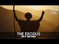 THE EXODUS: PART 8 - WAR & ORDER @AIBIBLESAGAS
