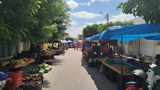 FEIRA LIVRE DE CARNAÍBA (14/12/2024)