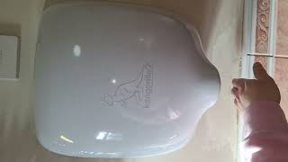 Dainton Golf Club, (Ladies WC2) Armitage Shanks, Countertop sink \u0026 Kangarillo2 hand dryer