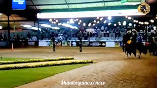 Doble 7 y Aaron grandes campeones de la trocha y el galope Nacional equina 2019