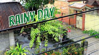 TROPICAL DOWNPOUR WITH FLOODING - Sights and sounds of a tropical rain storm