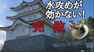 城巡り「忍城」～さきたま古墳群 豊臣秀吉が落とせなかった唯一の城#2