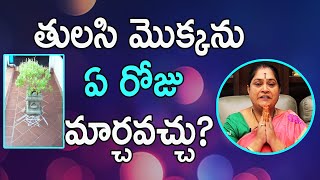 తులసి మొక్కను ఏ రోజు మార్చవచ్చు? | When To Change Tulasi Tree | Ramadevi Spiritual