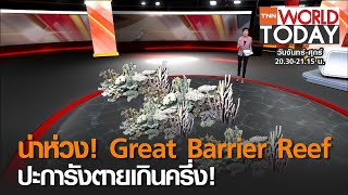 น่าห่วง! Great Barrier Reef ปะการังตายเกินครึ่ง l TNN World Today