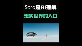 为什么Sora是核弹级AI应用？Sora是AI理解现实世界的入口 #sora  #ai  #aigc  #AGI #人工智能 #openai  #AI视频