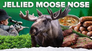 Would you ever eat a jellied moose nose!?!?! | #shorts