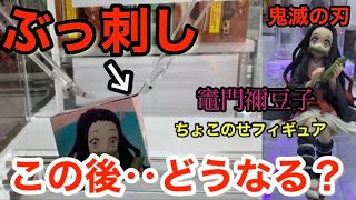 【鬼滅の刃】裏技！秘技！ぶっ刺し！！刺すことに成功したのに‥ プレミアムちょこのせフィギュア　竈門禰󠄀豆子　ねずこ【クレーンゲーム】【ufoキャッチャー 】【橋渡し】【攻略】demon SLAYER