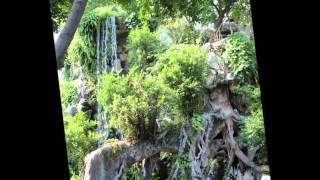 全加中華總會館(舘)CBAOC陳紹鏵主席 2014年之清暉園 (順德) Shunde Garden (Shunde, China)