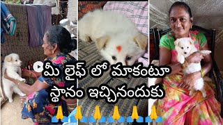 మీ లైఫ్ లో మాకంటూ ఒక స్థానం ఇచ్చినందుకు మీకు రుణపడి ఉంటాం