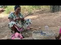 jharkhand village life jharkhand lifestyle tribal life of jharkhand india rural india