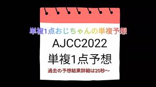 アメリカジョッキークラブカップ2022 単複1点おじちゃんの単複予想