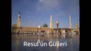 Sedat Uçan - Resul'ün Gülleri