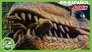 ¡DINOSAURIOS PELIGROSOS! | Videos de dinosaurios para niños