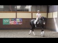 canter simple changes