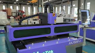 Two heads single gantry AKJ1325F-2