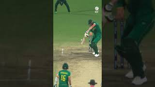 Shaheen Afridi in full flight 🔥 #cricket #ytshorts #cricketshorts