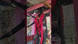 আসানসোল জীবন্ত মা কালী | Jibanta Kali Asansol | #shorts #viral #trending #kalipuja #maakali