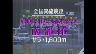 1996 第9回 南部杯 地上波中継