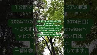 １分間で宇宙とつながるピアノ瞑想（番外編） 2024/11/26（一日一即興　2074日目）〜さえずり・gazouillement・twitter〜