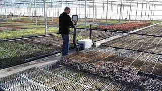 RötjesYoungPlants RFID tray scanning system