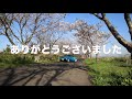 言葉という道具を正しく使っていますか？？　言葉は人を助けることも傷つけることもできます！！