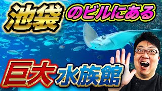 【東京】サンシャインは展望台だけでない他のスポットの魅力とは？