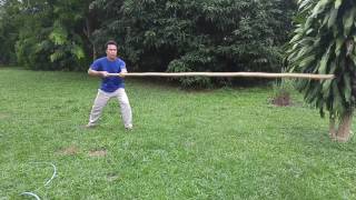 Taiji Da Gan or Taiji Long Pole