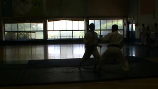 Shotokan Karate: Shahar vs Guy