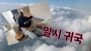 【一時帰国】日本に一時帰国しました【일시 귀국】일본에 일시 귀국했어요 ❤️#vlog #한국생활 #한일커플 #일상 #한국여행#韓国旅行