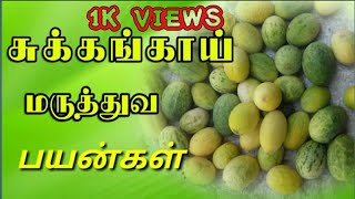 சுக்கங்காய் மருத்துவ பயன்கள்|2020|in tamil|cucumis melo var herbal plant|மல்லி மூலிகை