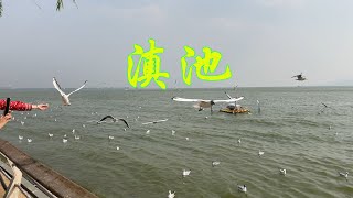 云南旅游3：滇池游览，曾经严重污染的滇池，水质改善的怎么样了