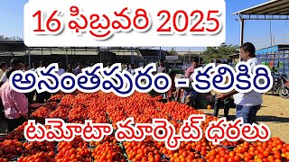 @16 ఫిబ్రవరి 2025 // అనంతపురం //కలికిరి //దిగుమతి //🍅🍅🍅టమోటా మార్కెట్ ధరలు