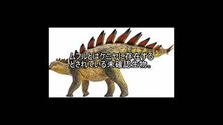 未確認生物ファイル212　ムフル