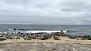 Pacific Grove Marine Gardens Park