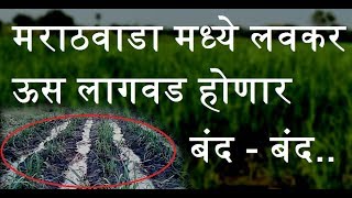 मराठवाडा मध्ये लवकर ऊस लागवड होणार बंद - Sugarcane Stop