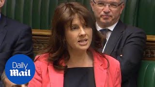 MP makes maiden speech days before seeking re-election - Daily Mail